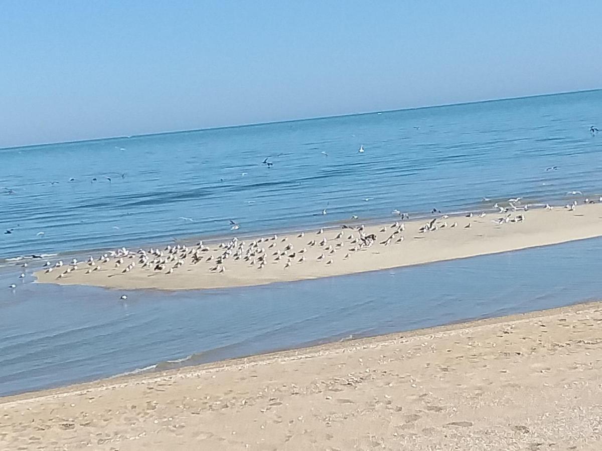 Departamento Irene Apartman San Felipe  Kültér fotó